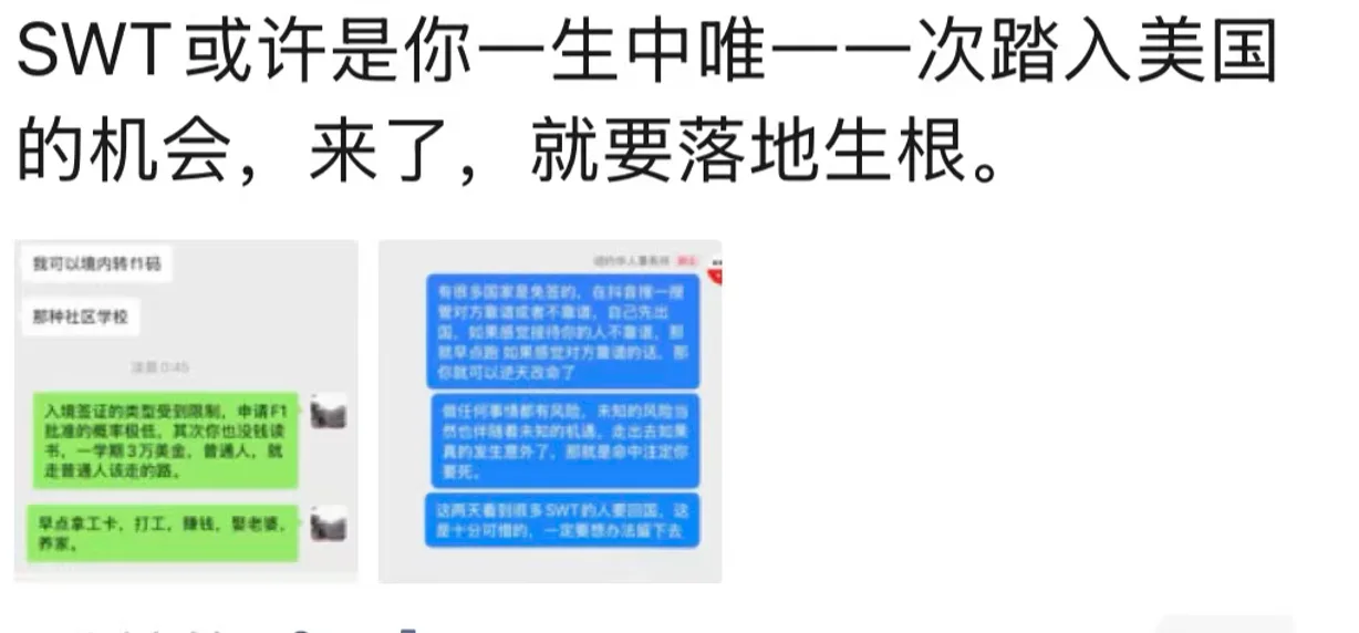 “来了，就要落地生根”！SWT学生项目收官，留美还是回国成关键抉择
