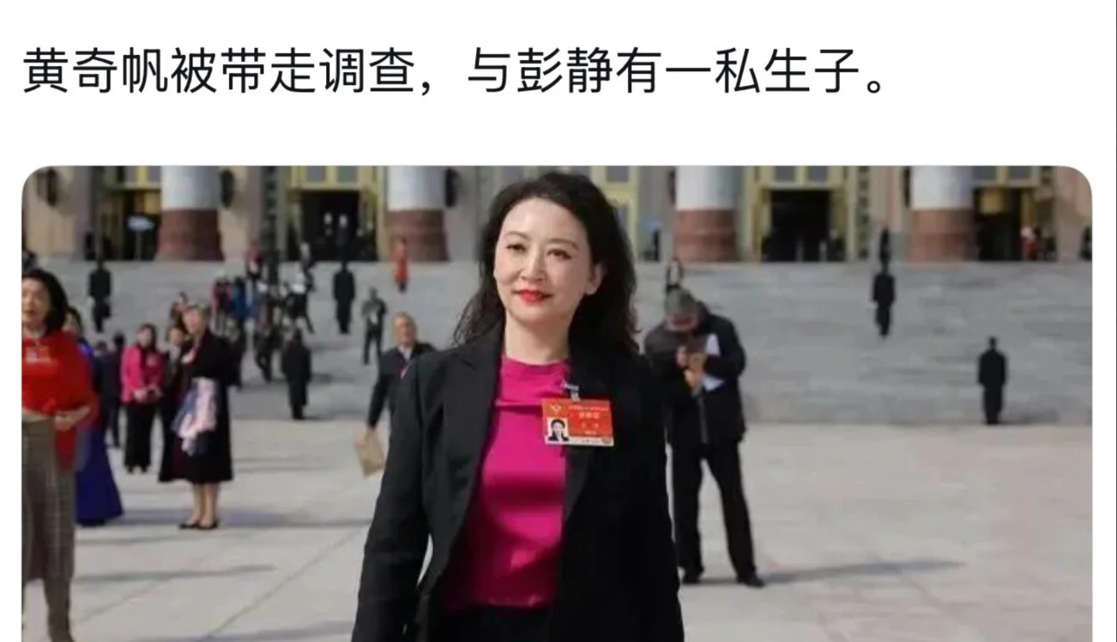 重庆原市长黄奇帆与女律师彭静爆生子传闻，2.1亿元资金疑云再引关注