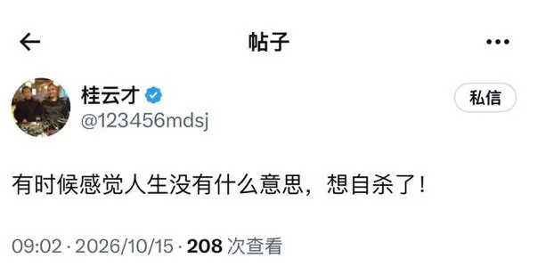 在美华人桂云才流露轻生念头，遣返担忧与经济负担引发关注